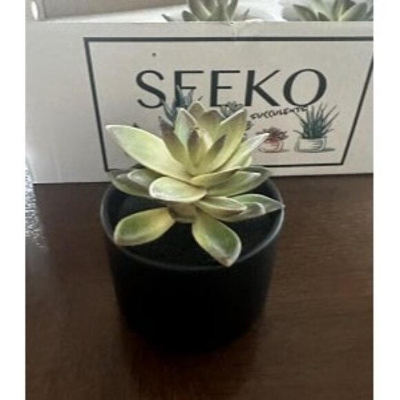 New Succulents Artificial Succulents in Ceramic Pots (3 Set) Realistic & Beautif - Picture 3 of 3